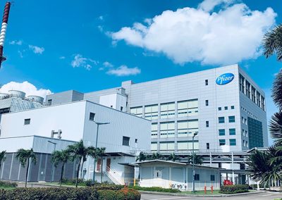 Pfizer Asia Pacific
